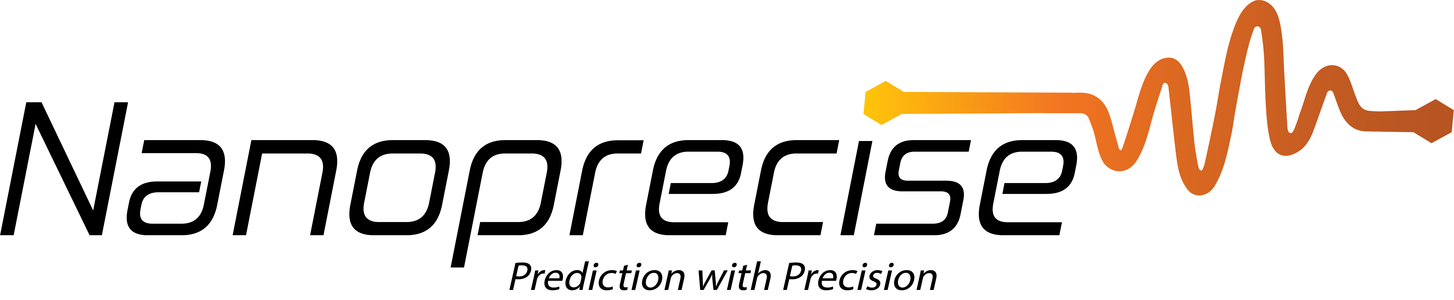 Nanoprecise - Original Logo Transparent